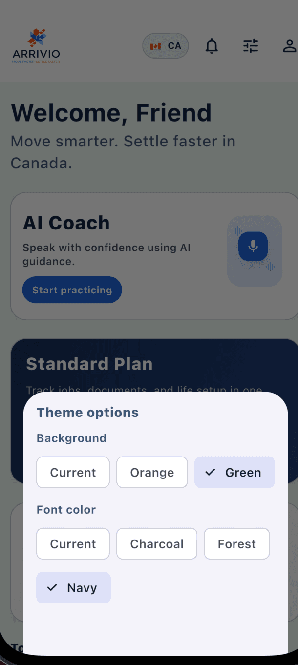 ARRIVIO theme options panel